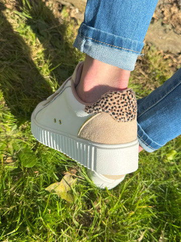 Baskets PHEEBE