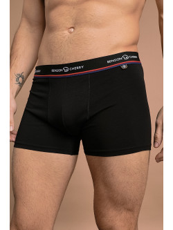 Boxers WESTWORLD - Benson & Cherry