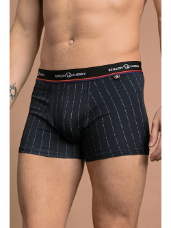 Boxers WESTWORLD - Benson & Cherry