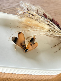 Boucles d'oreilles COEUR LÉO